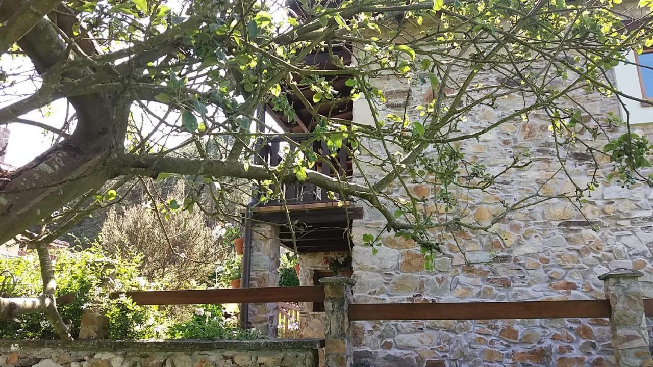 Vila La Casina De Abo San Juan de Pinera Exteriér fotografie